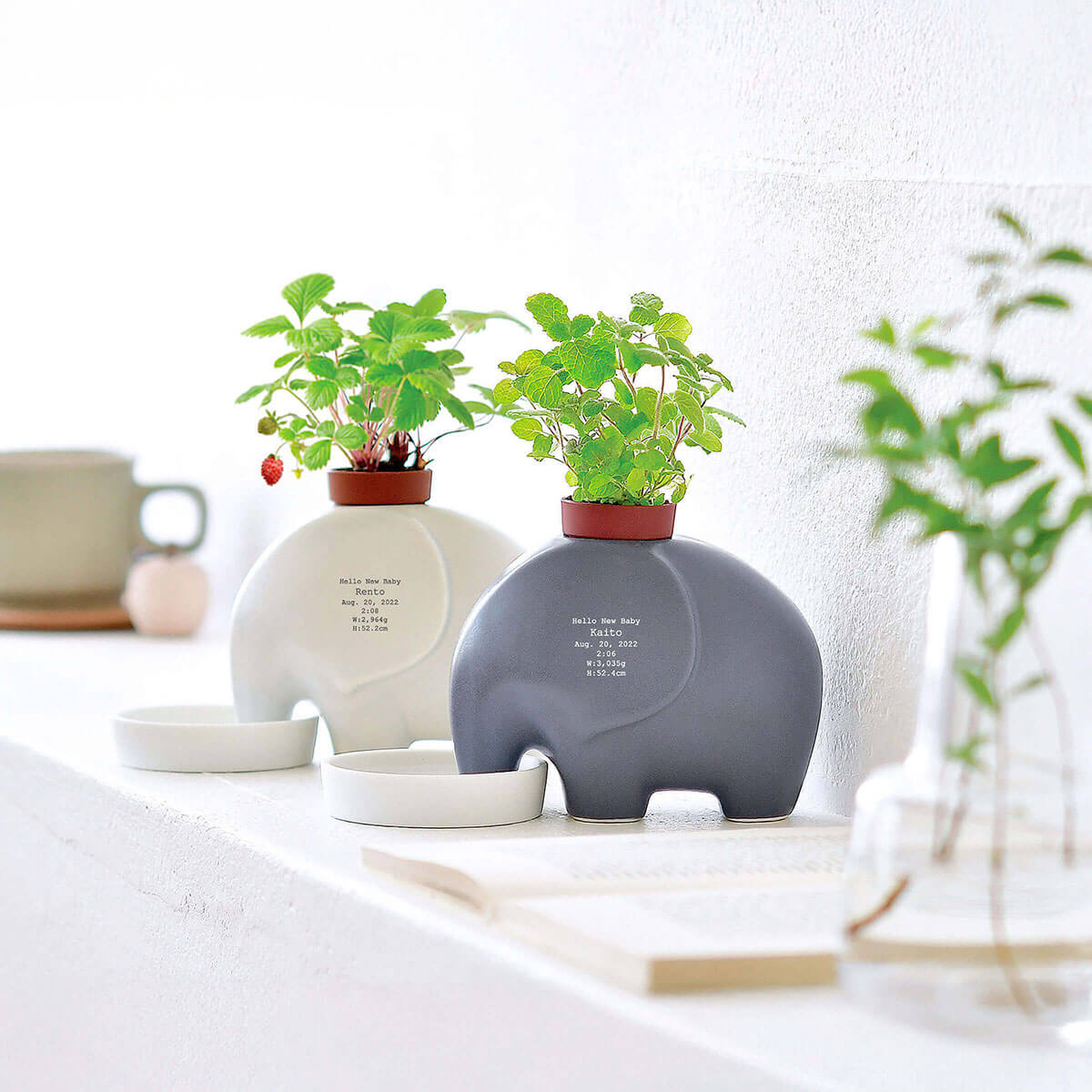 フラワーベース・栽培キットの名入れギフト