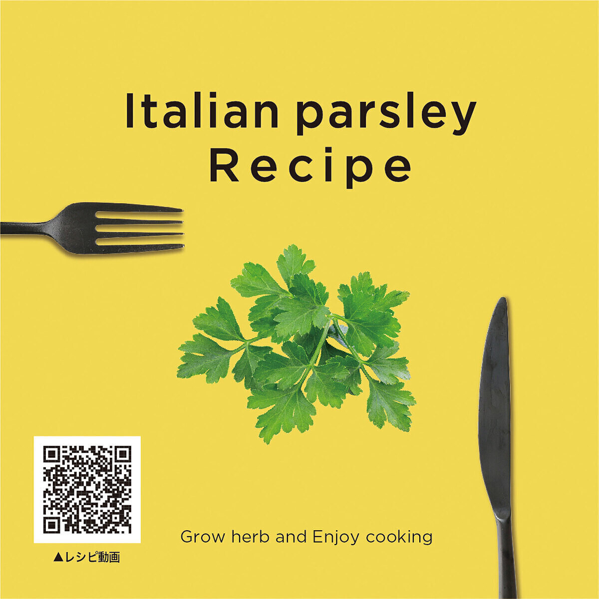 +Recipe ミント 4