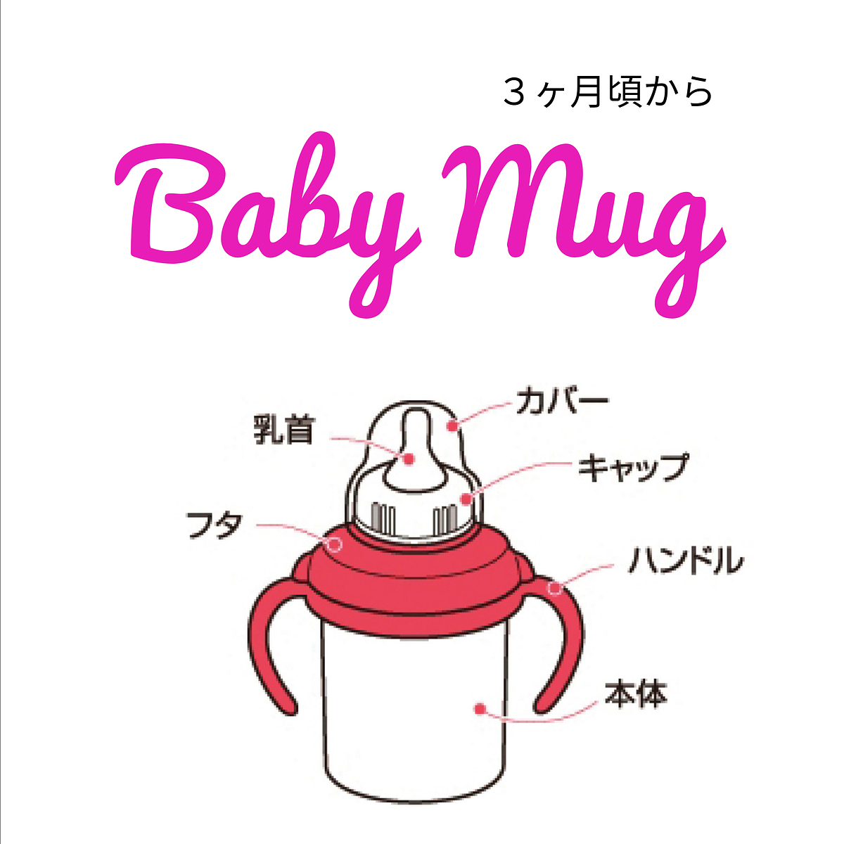 ミキハウス トレーニングマグセット 4
