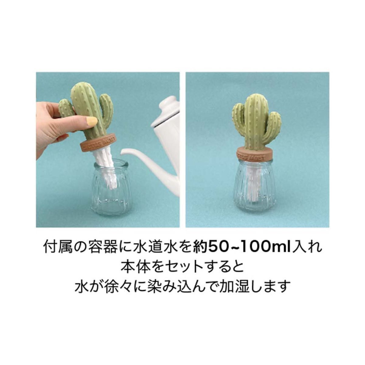 潤いマスコット ガラスサボテン  ハシラサボテン 1