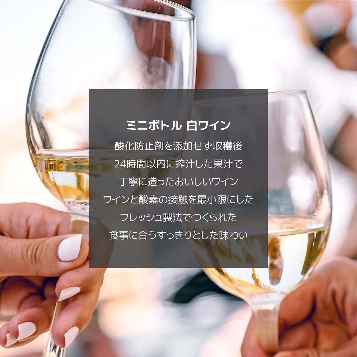 父の日ワイン 赤ミニボトル 2