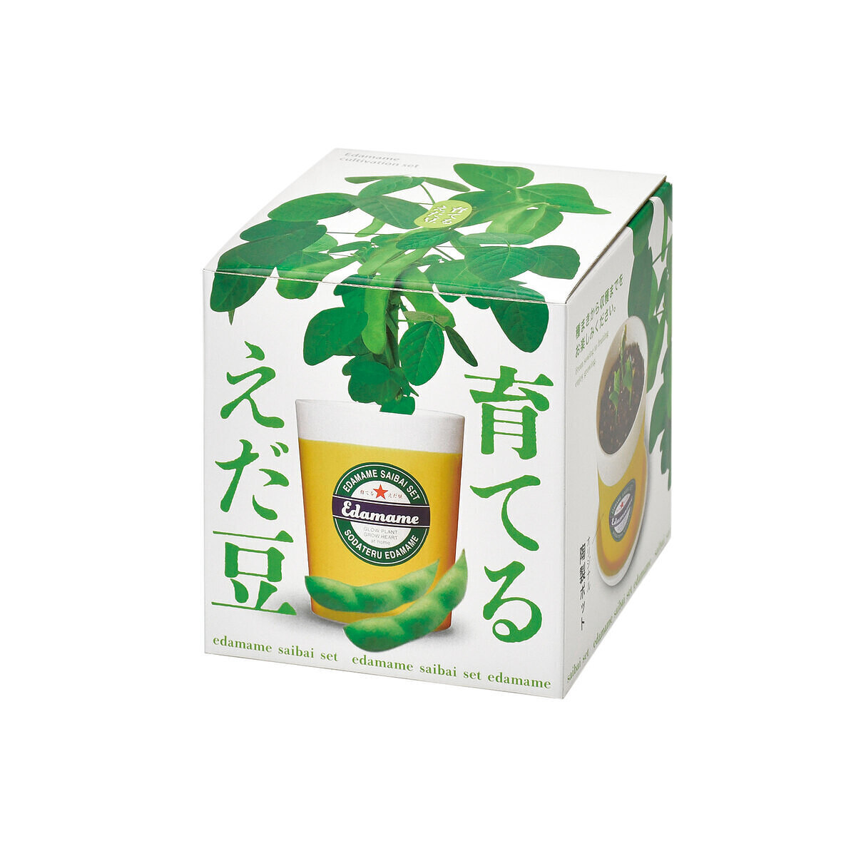 名前入りタンブラーとえだまめ栽培キットのセット 1