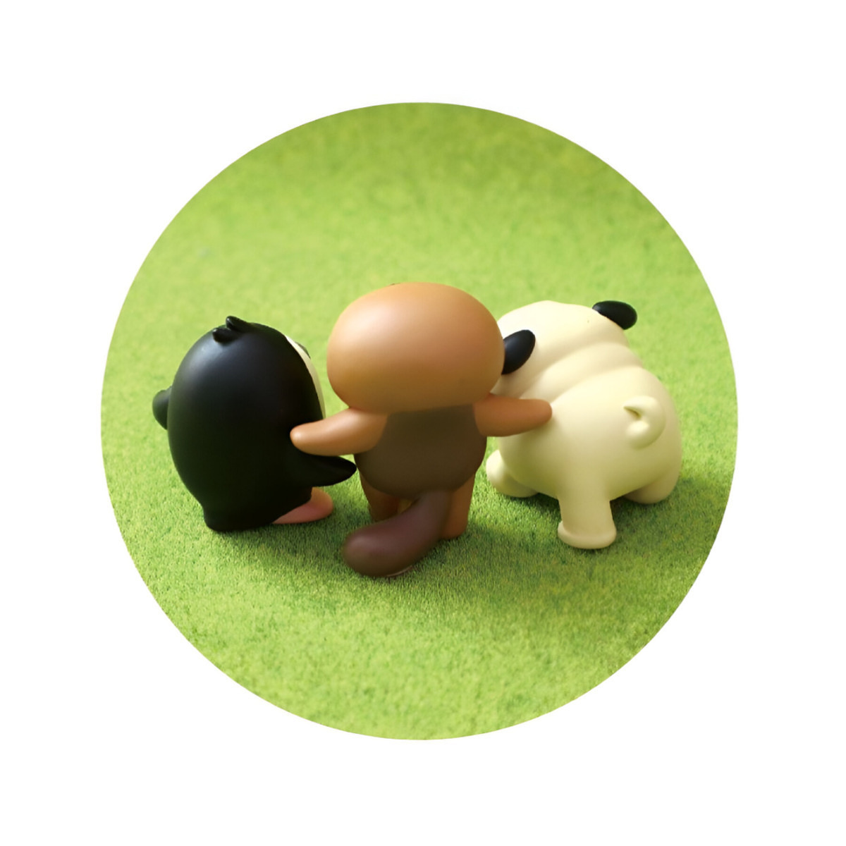 はいチーズ ヒゲラッコ 5