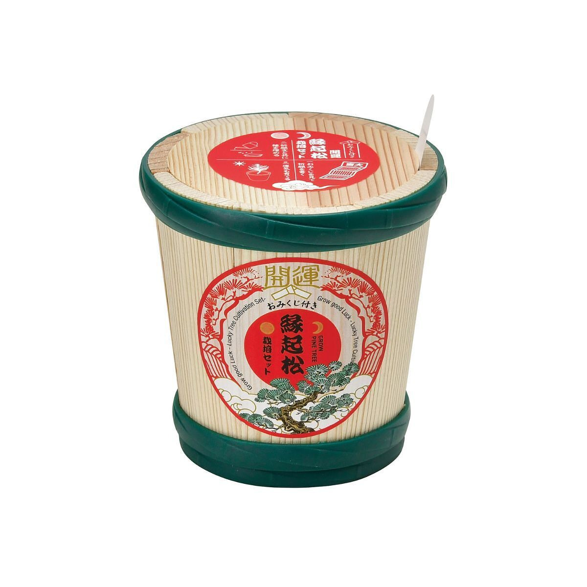 縁起松栽培セット おみくじ付き
