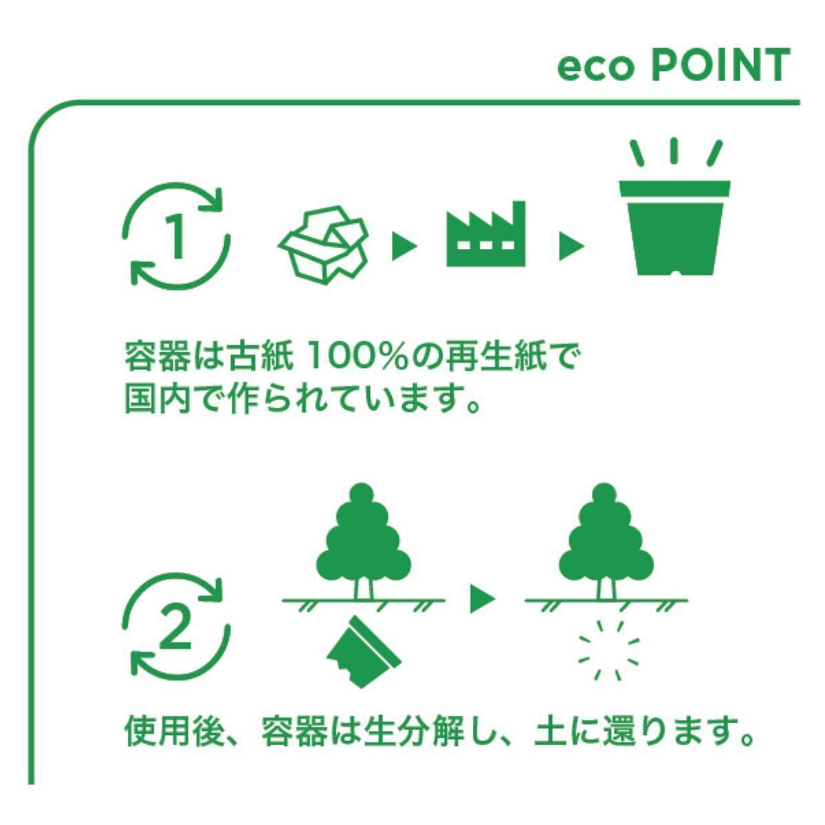 エコット M レタス 4