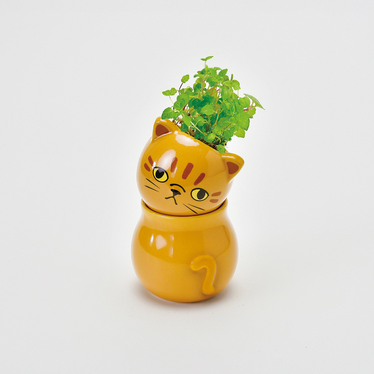 コロコロキャット 茶 ミント 誕生日カード付 2