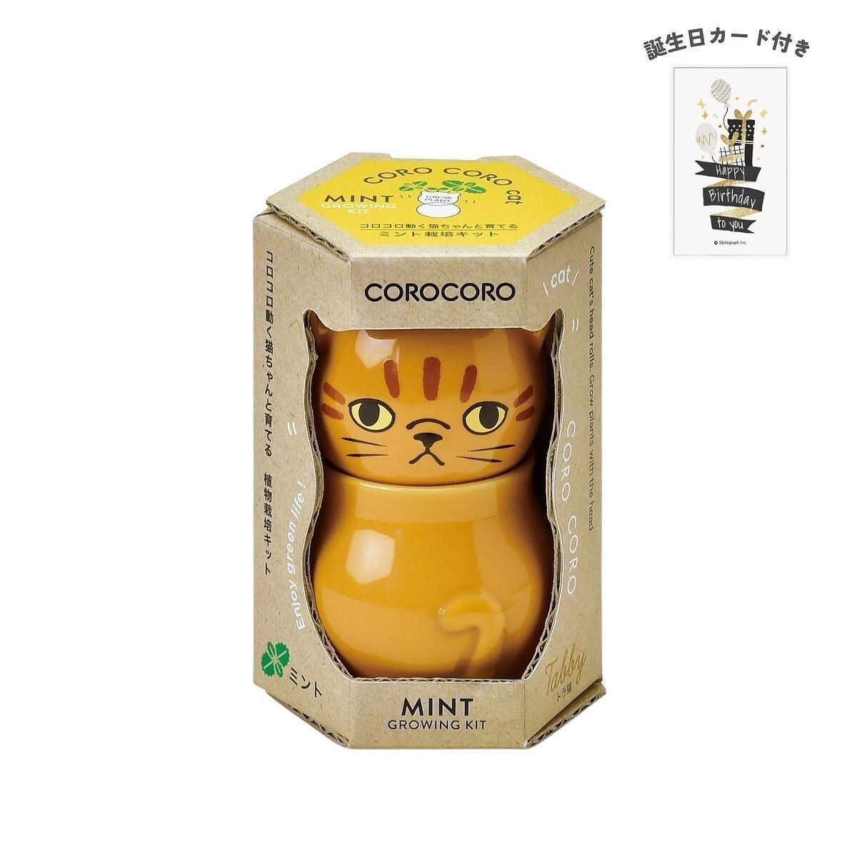 コロコロキャット 茶 ミント 誕生日カード付