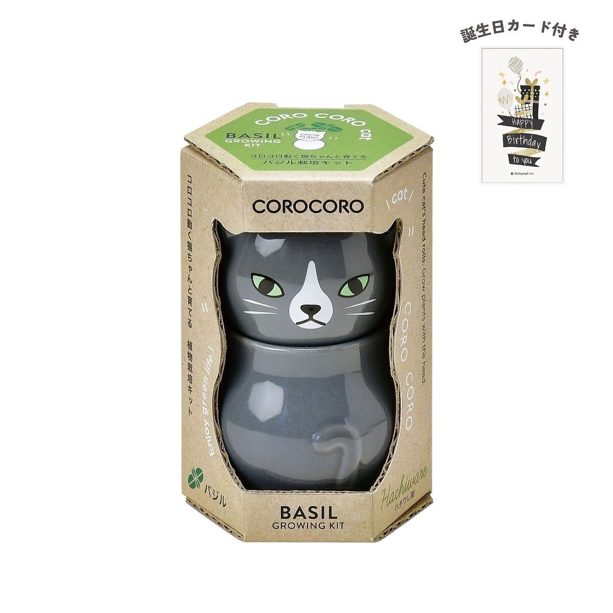 コロコロキャット グレー バジル 誕生日カード付