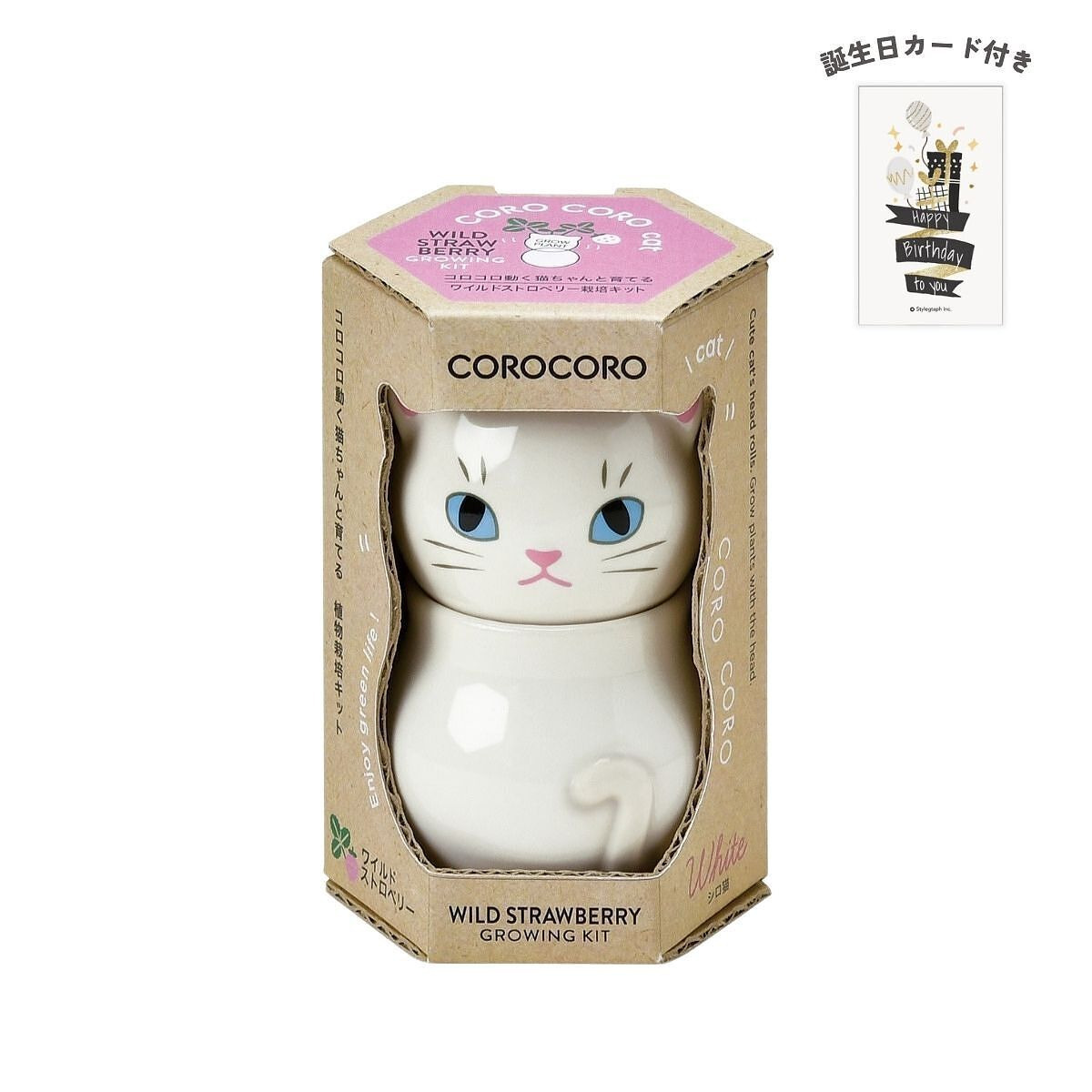 コロコロキャット 白 ワイルドストロベリー 誕生日カード付
