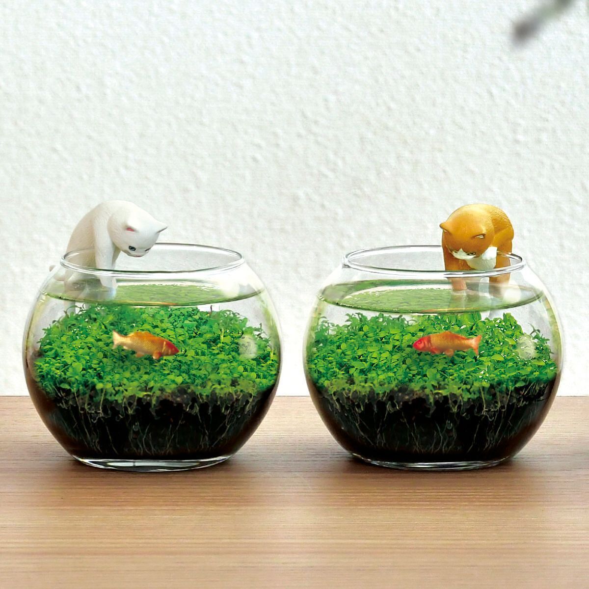 じゃれ猫水草鉢 白 1