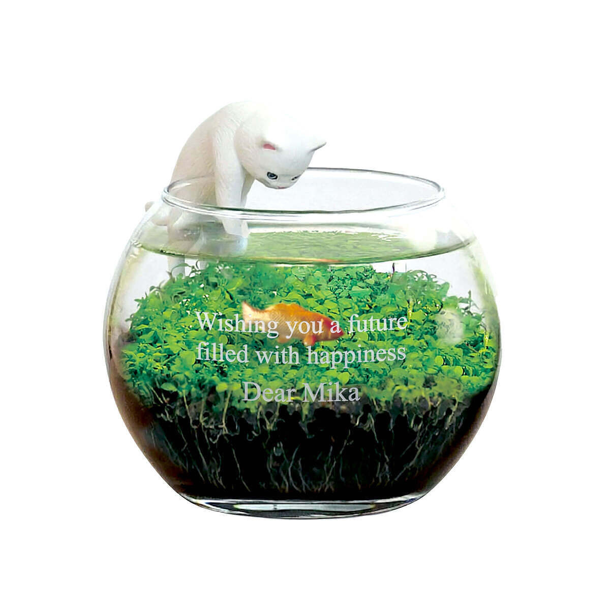 じゃれ猫水草鉢 白