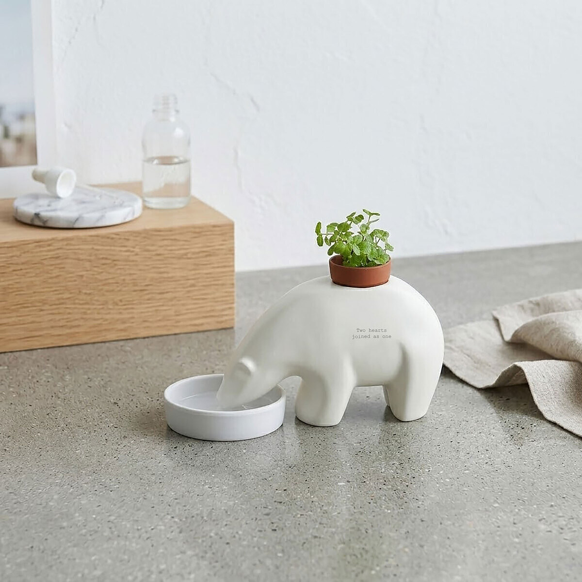 ポーラーベアプラント 2