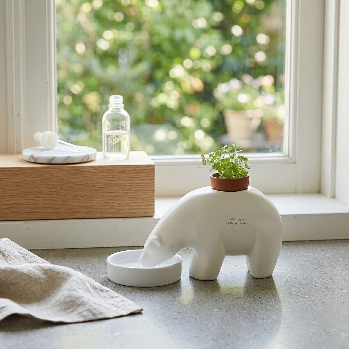 ポーラーベアプラント 3