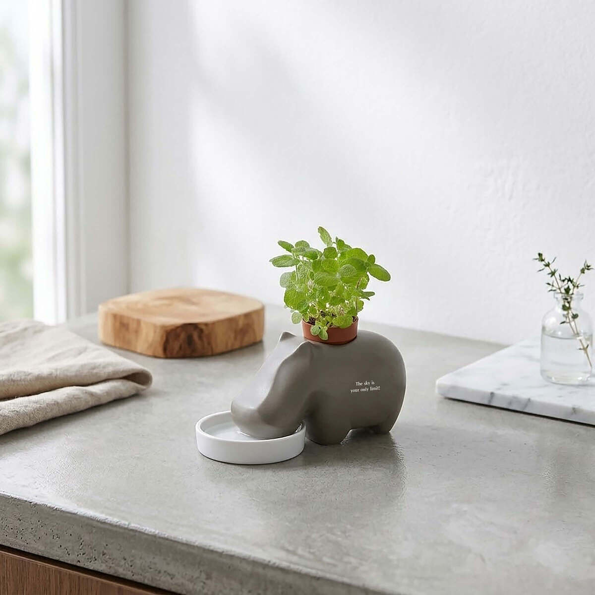 ヒポポプラント 2