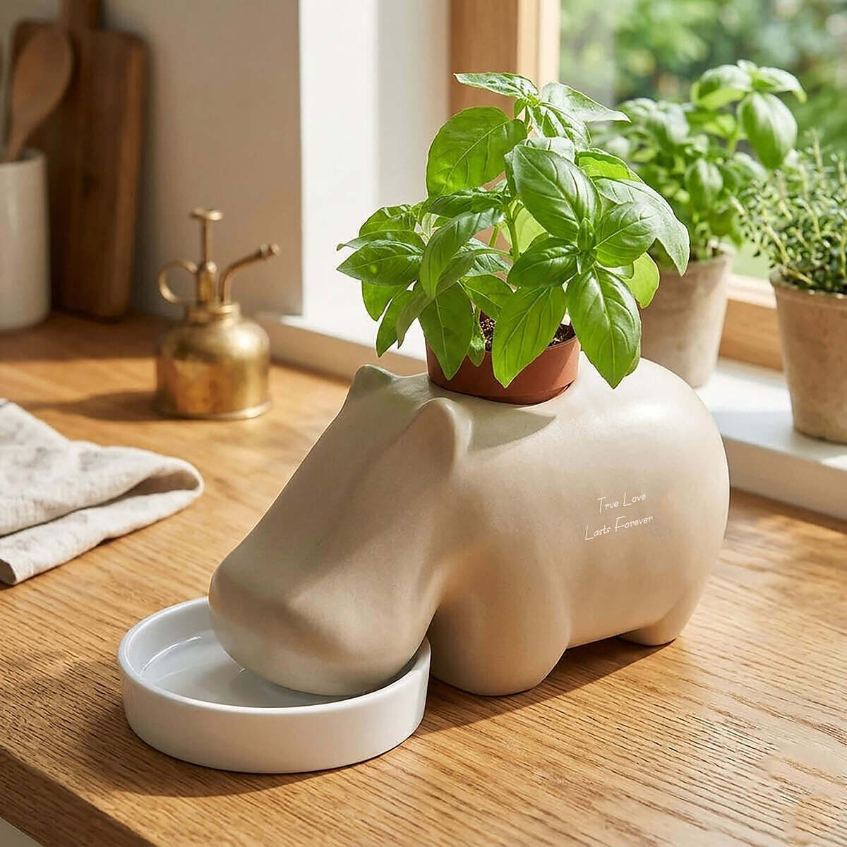 ヒポポプラント 3