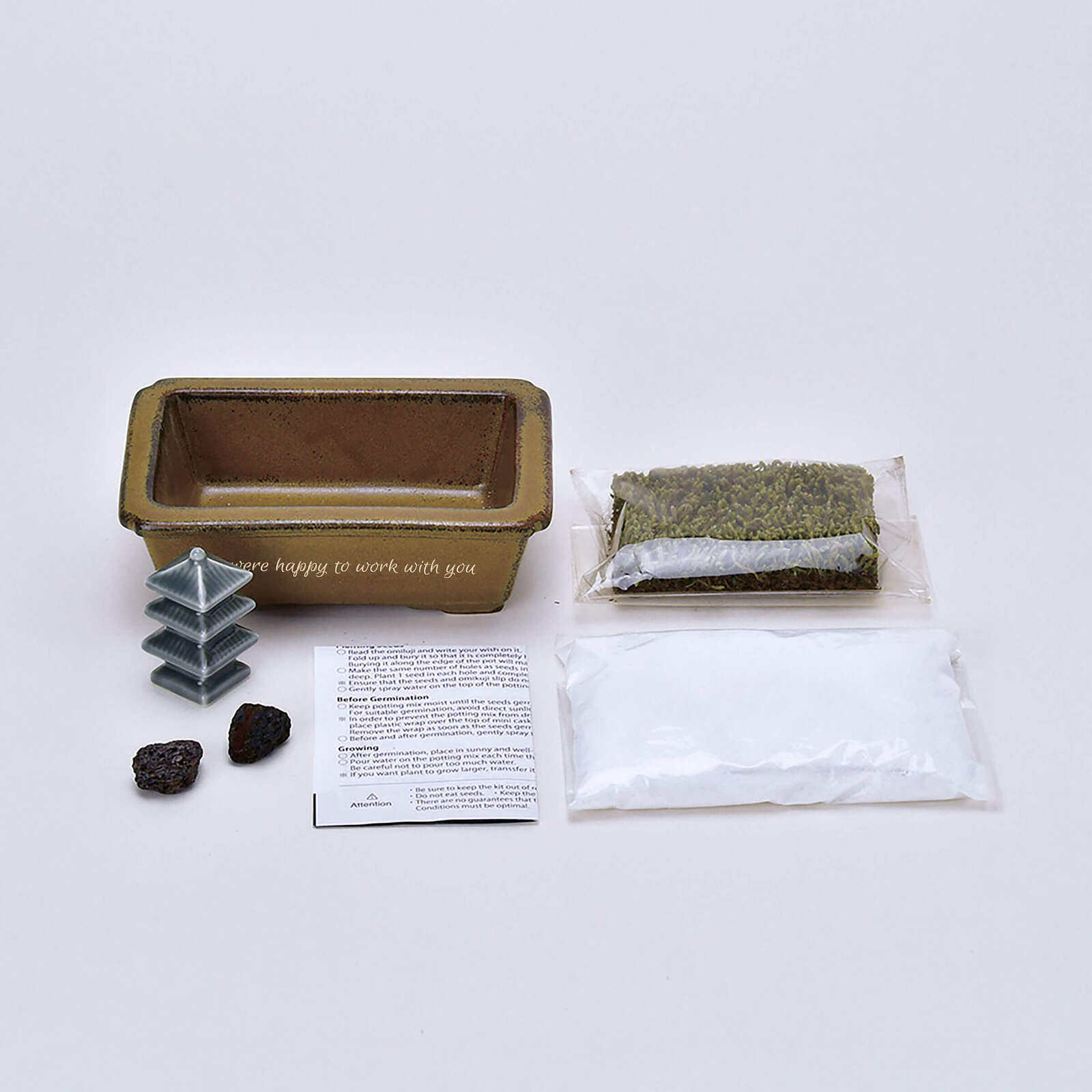 簡単キットで作れる盆栽