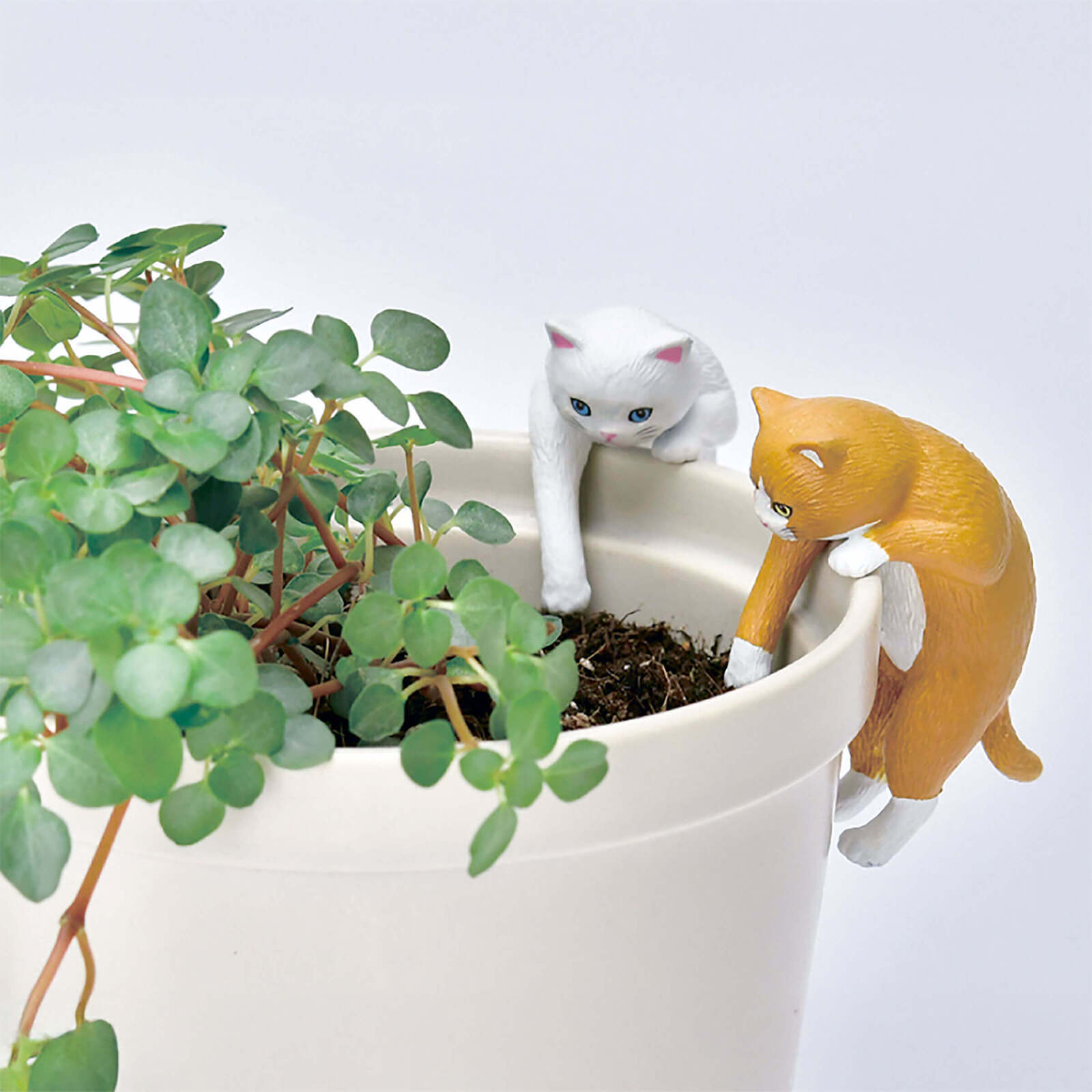 色々なところに飾れる猫のフィギュア