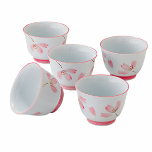 有田焼 色彩花宴 仙茶揃 名入れ可能