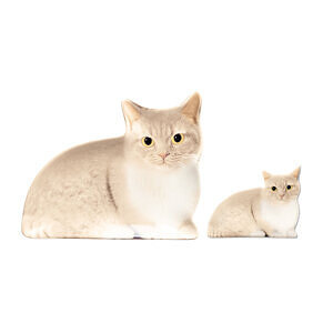 リアルキャット箸置き＆豆皿 マンチカン 名入れ可能