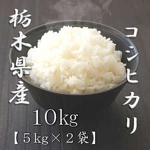 栃木県産コシヒカリ 5kg 5
