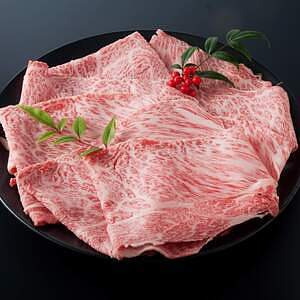 宮崎牛 A5ランク 肩ローススライス 500g 名入れ可能