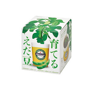 育てるえだ豆 栽培セット 名入れ可能