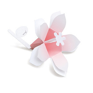 花言葉 ブーケ Hana-kotoba Bouquet (pearl pink) 10枚入 名入れ可能