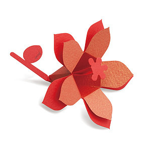 花言葉 ブーケ Hana-kotoba Bouquet (gold red) 10枚入 名入れ可能