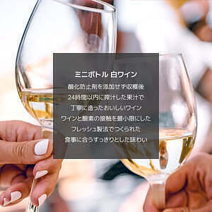 父の日ワイン 赤ミニボトル 2