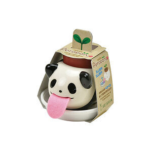 ペロポン パンダ バジル 名入れ可能