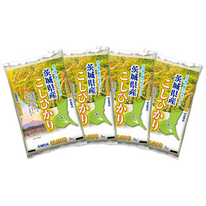 茨城県産コシヒカリ 5kg×4袋 合計20kg 名入れ可能