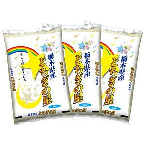 栃木県産とちぎの星 5kg×3袋 合計15kg 名入れ可能