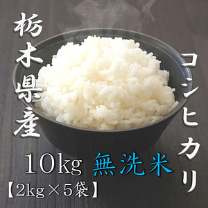 無洗米 栃木県産コシヒカリ 5kg 6