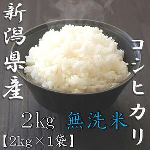 無洗米 新潟県産コシヒカリ 5kg 1