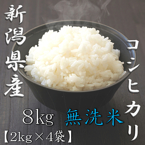 無洗米 新潟県産コシヒカリ 5kg 4