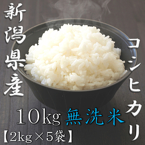 無洗米 新潟県産コシヒカリ 5kg 6