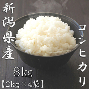 新潟県産コシヒカリ 5kg 4
