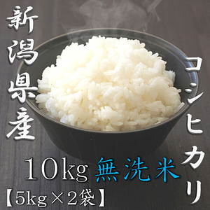 無洗米 新潟県産コシヒカリ 5kg 5