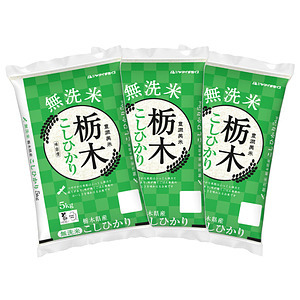 無洗米 栃木県産コシヒカリ 5kg×3袋 合計15kg 名入れ可能