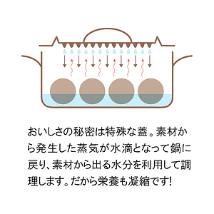 Mizuirazu 鍋 0