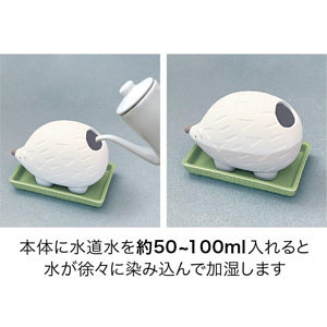 潤いマスコット FIKA ohana  CAT 5
