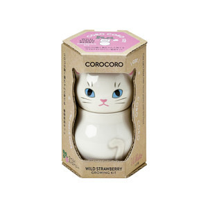 コロコロキャット 白 ワイルドストロベリー 名入れ可能