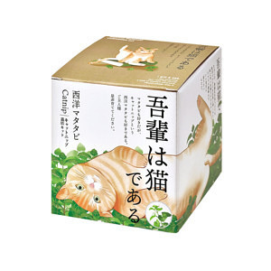 西洋マタタビ栽培キット 名入れ可能