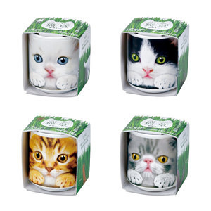 おちょこで猫草 栽培セット 白＆黒＆茶＆グレー 名入れ可能