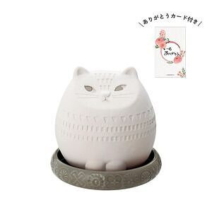 潤いマスコット FIKA ohana CAT ありがとうカード付 名入れ可能
