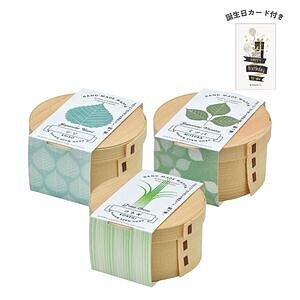 WAPPA 和っ葉栽培セット 3種 誕生日カード付 名入れ可能