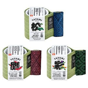 お芽でたおちょこ 畳 3種栽培セット 名入れ可能
