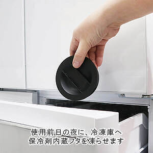 キャリークール ベージュ 5