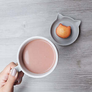 ネコ サラマグ グレー 2