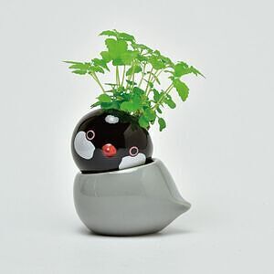 コロコロバード シマエナガ ミント 5